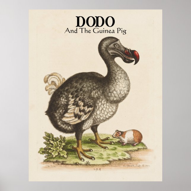 Affiche Titre customisé et sous-titre Dodo et Cochon de Gu (Devant)