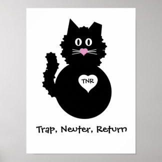 Affiche TNR - Fuzzy Kitty