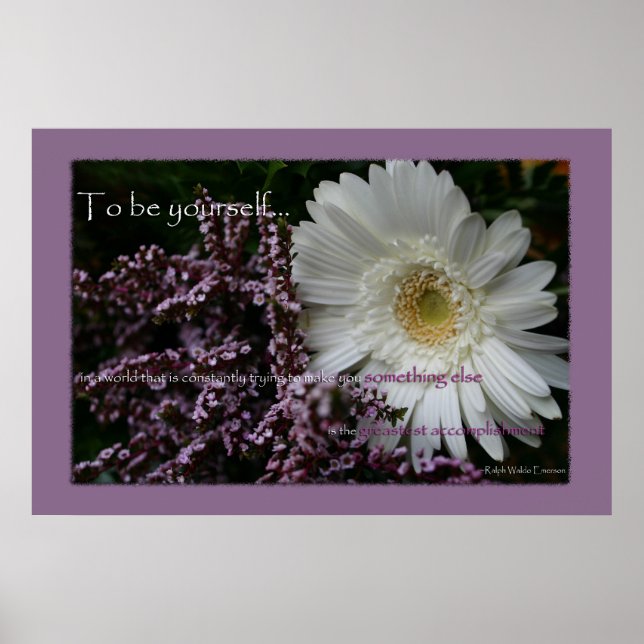 Affiche To be yourself white gerbera daisy flower print (Devant)