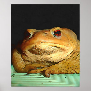 Affiche Toad Avec La Peinture De Disposition Philosophique