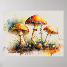 Toadstool Champignons, Amanita muscaria