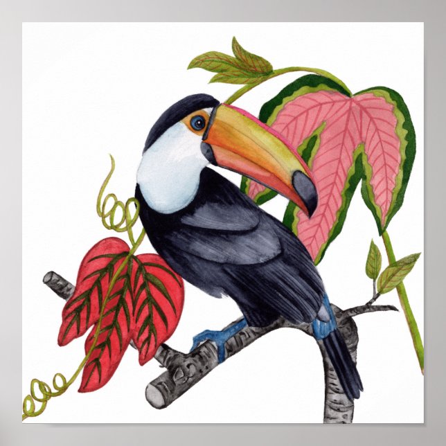 Affiche Toco Toucan (Devant)