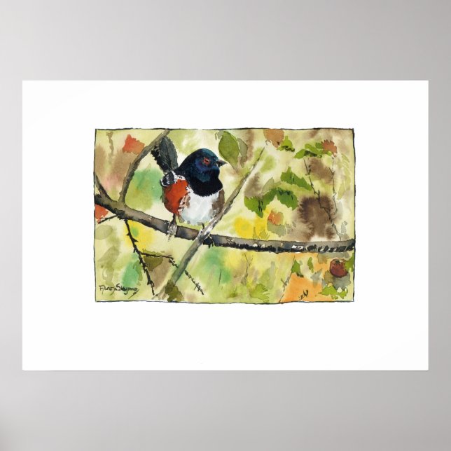 Affiche Tohi tacheté, image d'oiseau, art mural, décoratio (Devant)