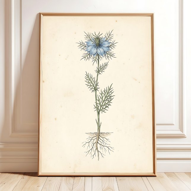 Affiche Toile d'art botanique vintage (Créateur téléchargé)