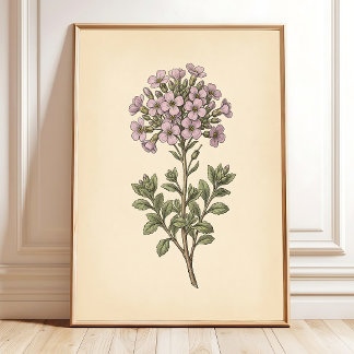 Affiche Toile de fleurs de cresson de roche vintage bohème