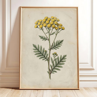 Affiche Toile de fond de cottage botanique vintage