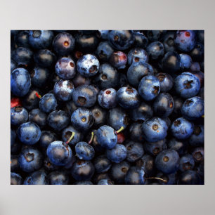 Affiche Toile de myrtilles