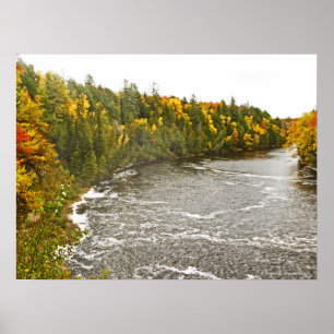 Affiche toile en verre imprimé/TAHQUAMENON RIVER/GOLD AND