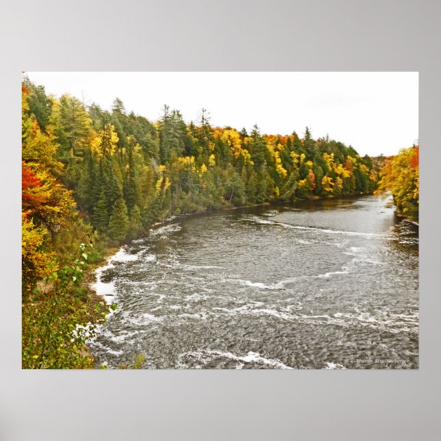 Affiche toile en verre imprimé/TAHQUAMENON RIVER/GOLD AND  (Devant)