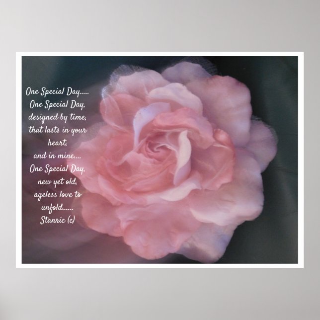 Affiche Toile mariage (Devant)