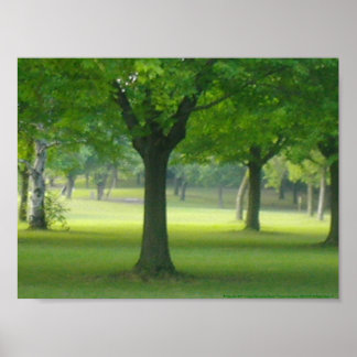 Affiche Toile Shellis Imprimer, Sans Cadre "La Forêt Magiq