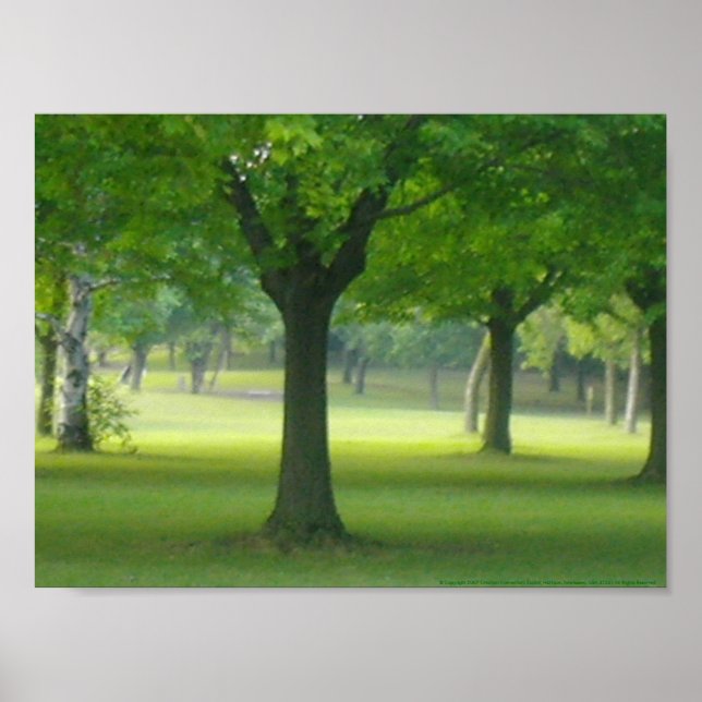 Affiche Toile Shellis Imprimer, Sans Cadre "La Forêt Magiq (Devant)