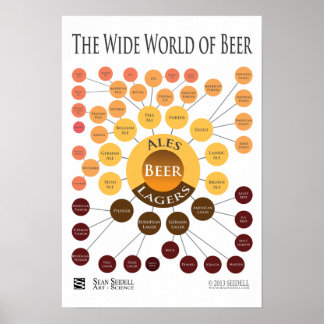 Affiche Toile World of Beer Infographie