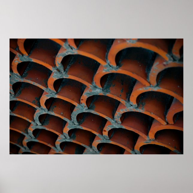 Affiche Toit orange (Devant)