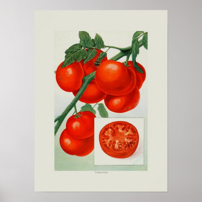 Affiche Tomates (Devant)