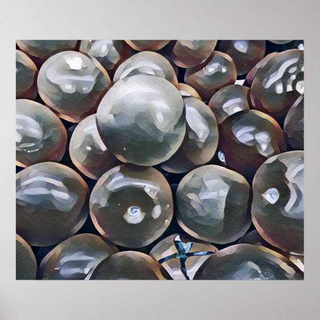 AFFICHE TOMATES (Devant)