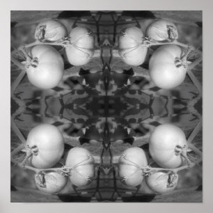 Affiche Tomates En Noir Et Blanc Abstrait