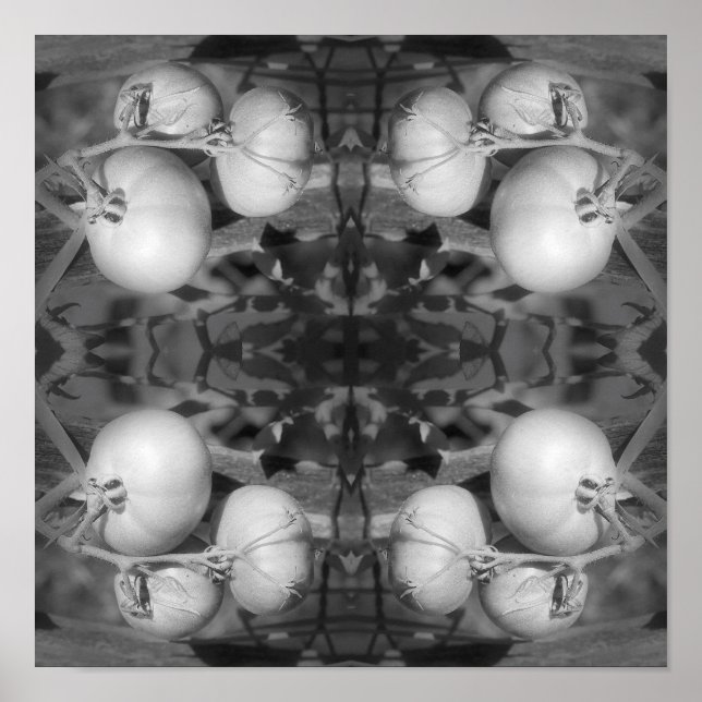 Affiche Tomates En Noir Et Blanc Abstrait (Devant)
