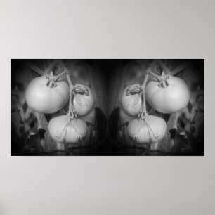 Affiche Tomates Sur La Vigne Noir Et Blanc Abstrait