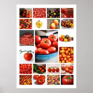 Affiche TOMATO Collage