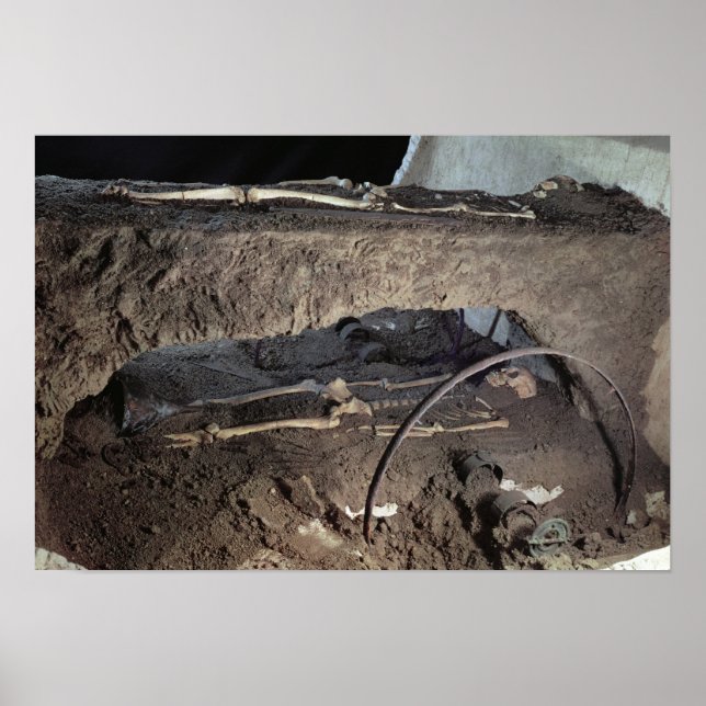 Affiche Tombeau d'un chef gaulois (Devant)