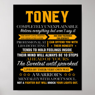 Affiche Toney Noël de famille complètement inexplicable
