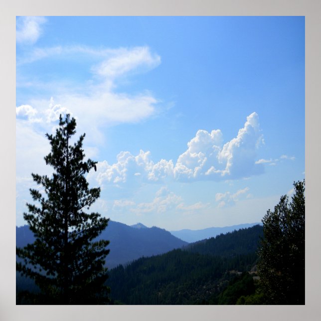 Affiche Tonneaux d'été..... (Devant)