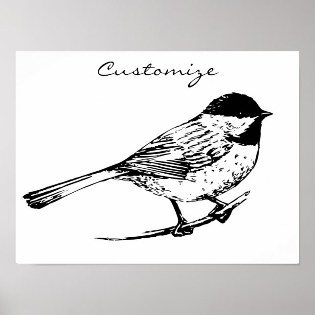 Affiche Tonnerre de chickadee à calotte noire (Devant)