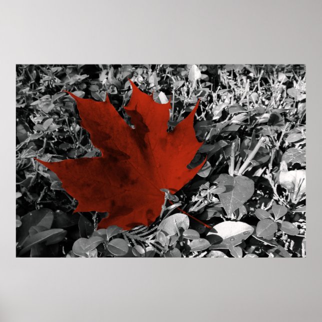 Affiche tons automne (Devant)