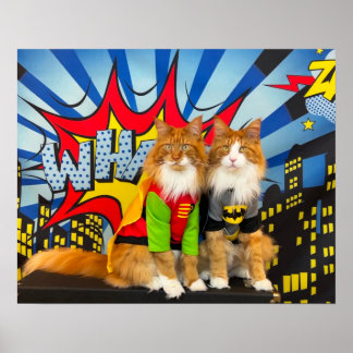 Affiche Tony et Teddy, le Dynamic Maine Coon Duo