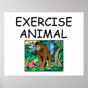 Affiche TOP Exercice Animal