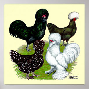 Affiche Top Hat Chicken