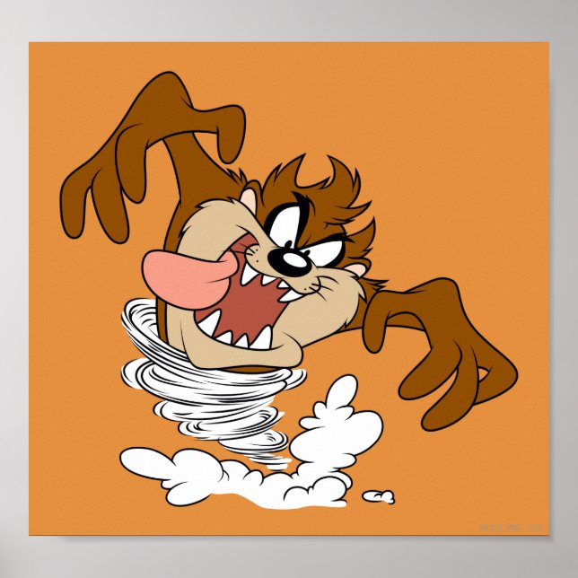 Affiche Tornade à bulles TAZ™ (Devant)