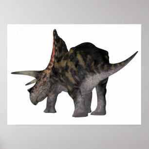 Affiche Torosaurus Dinosaure