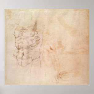 Affiche Torso Study