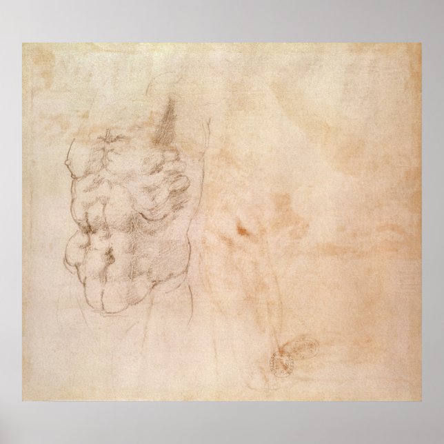 Affiche Torso Study (Devant)