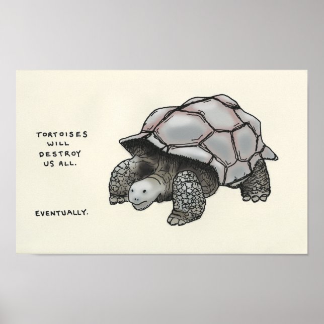 Affiche tortue (Devant)
