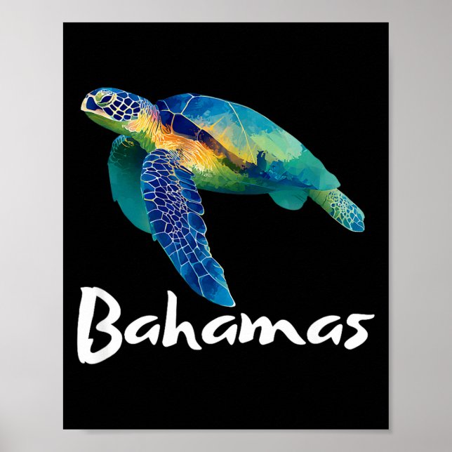 Affiche Tortue bahamas souvenir_bahamas  (Devant)