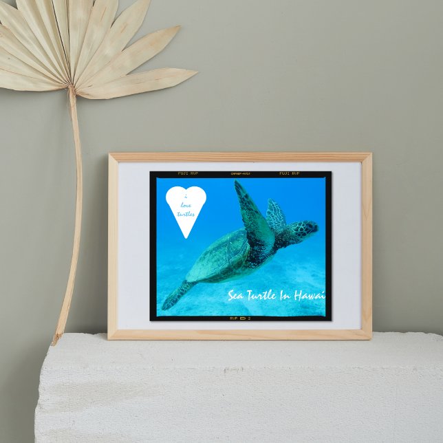 Affiche Tortue bleue dans les tortues cardiaques Hawaii (Créateur téléchargé)