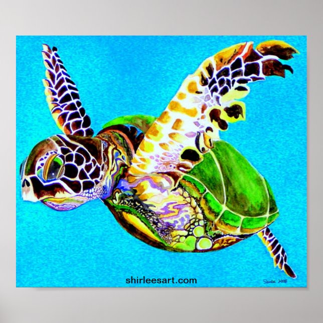 Affiche tortue colorée (Devant)