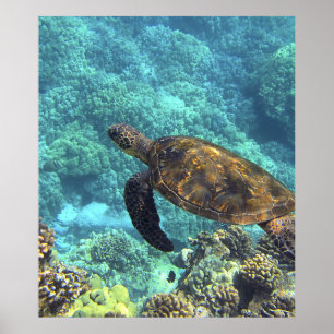 Affiche tortue dans la mer