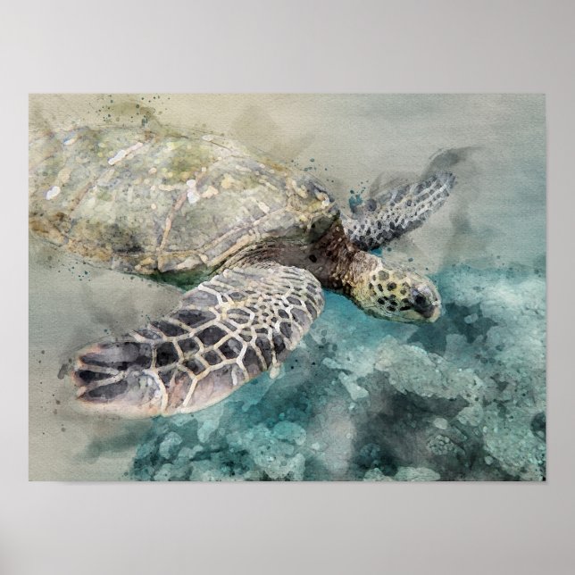 Affiche Tortue de mer (Devant)