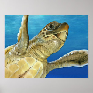 Affiche Tortue de mer à tête noire
