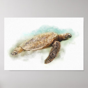 Affiche Tortue de mer - Aquarelle de tortue de mer verte d