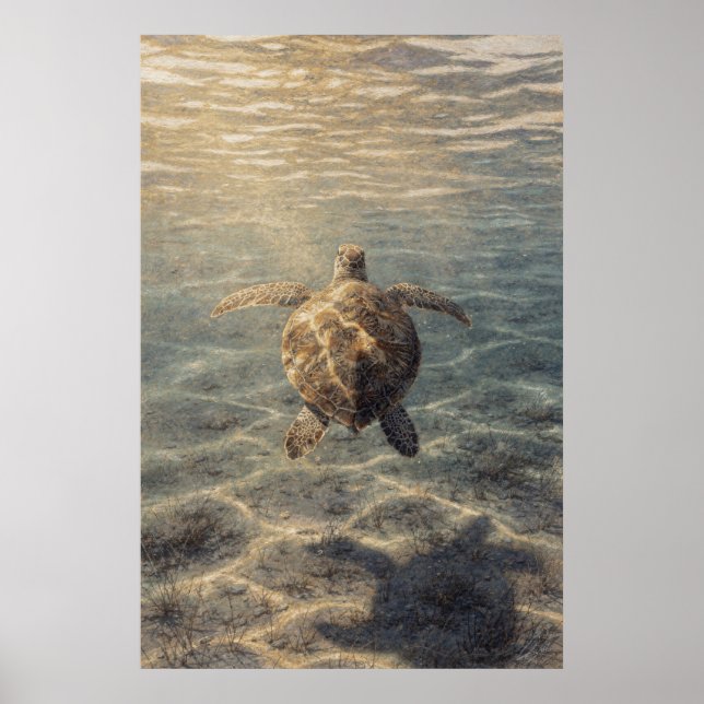 Affiche Tortue de mer dans de l'eau bleu clair (Devant)