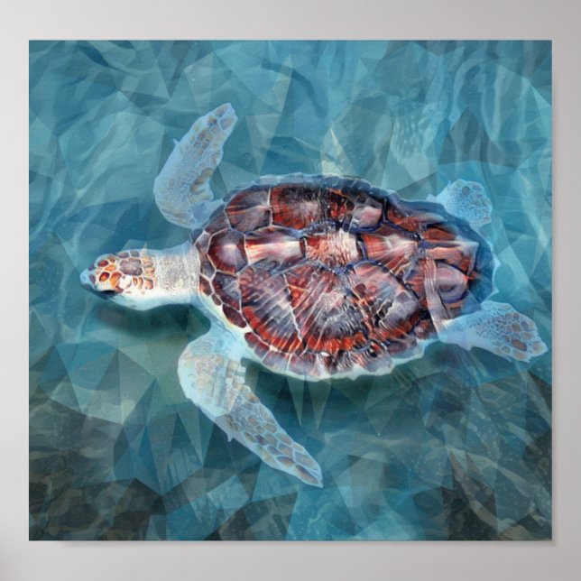 Affiche Tortue De Mer Dans Les Vagues Turquoise (Devant)