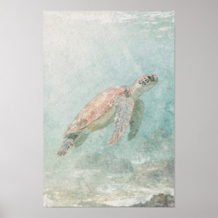 Affiche Tortue de mer dans une eau côtière bleu-vert pâle