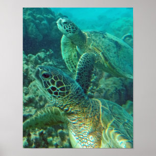 Affiche Tortue de mer d'Hawaii