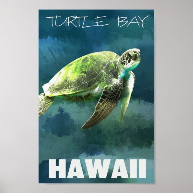 Affiche Tortue de mer d'Hawaii Artiste (Devant)