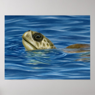 Affiche Tortue de mer d'Olive Ridley